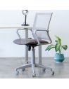 Silla Grey Gris Oficina Link Ergonomica Negra Soporte Lumbar Giratoria Respaldo Tapizado Red Mesh Regulable En Altura