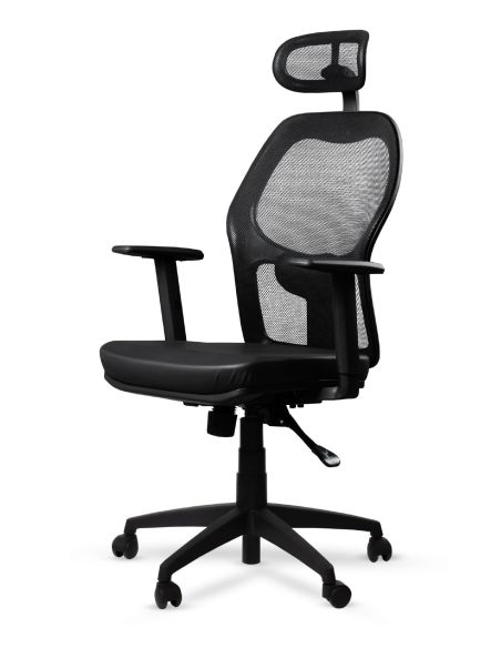 Silla Gamma Rolic 1D con Apoyacabeza y Almohada Lumbar - Envío Gratis