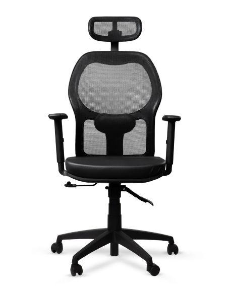 Silla Gamma Rolic 1D con Apoyacabeza y Almohada Lumbar - Envío Gratis