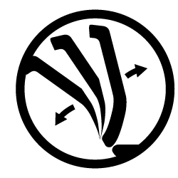 synchron